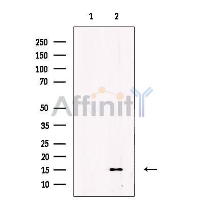 Валидация Affinity AF4681 - 2297