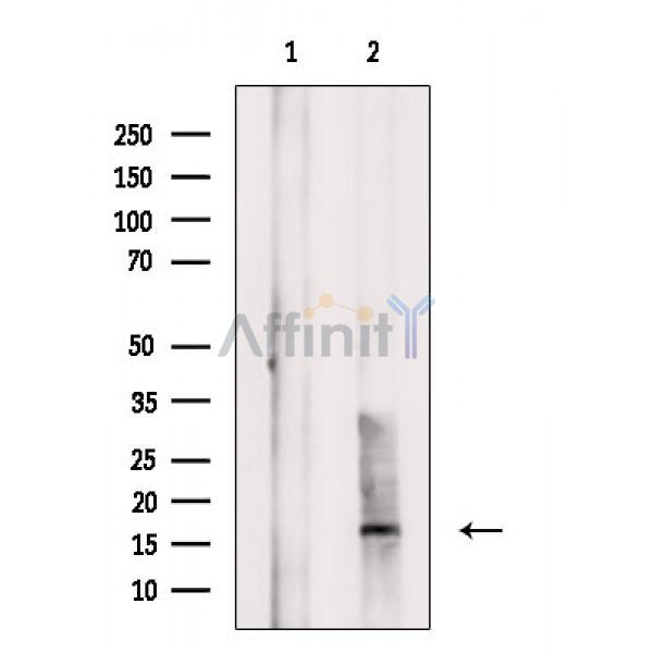 Валидация Affinity DF3522 - 14455