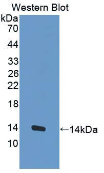 57473