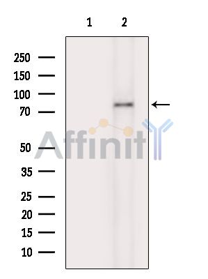 Валидация Affinity DF14803 - 10904