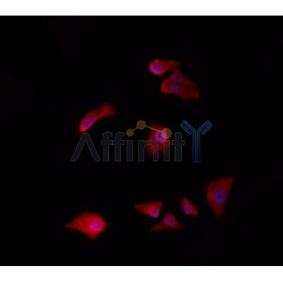 Валидация Affinity DF4369 - 15839