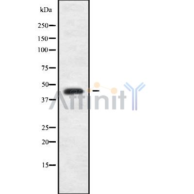 Валидация Affinity DF9109 - 21415