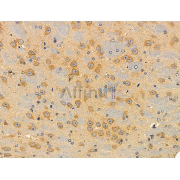 Валидация Affinity DF3377 - 14259