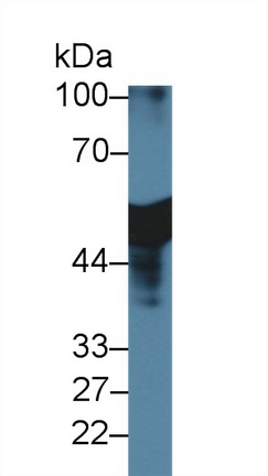 9930
