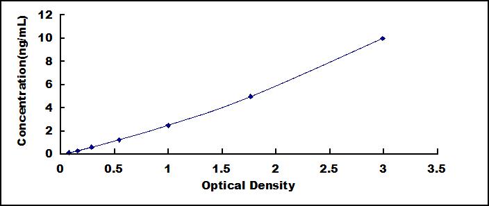 42036