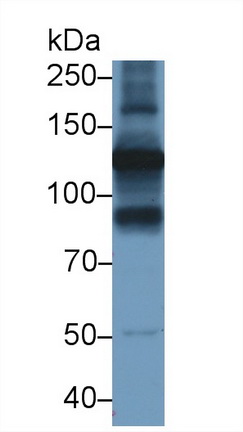 13476