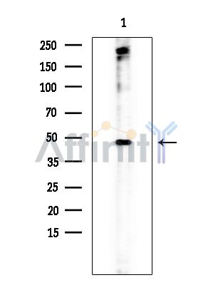 Валидация Affinity DF2411 - 13009