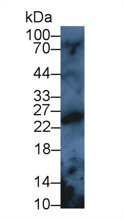 12890