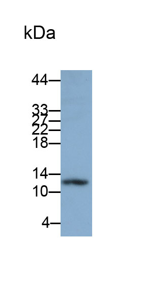 31440
