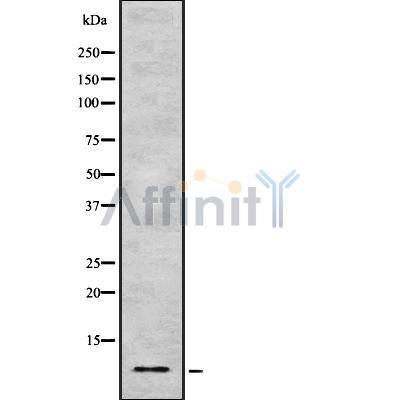 Валидация Affinity DF8777 - 20810