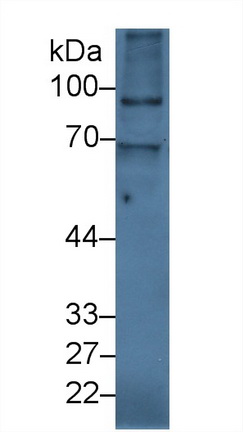 13960