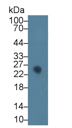 17659