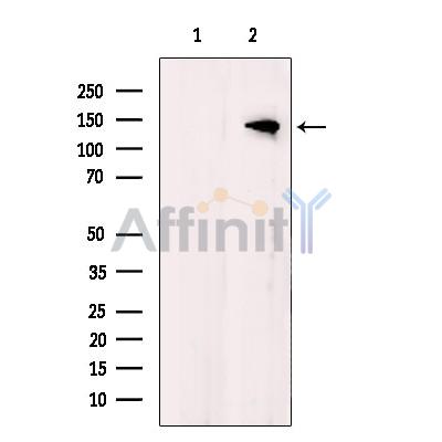 Валидация Affinity DF10334 - 5956