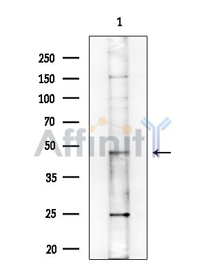 Валидация Affinity DF13829 - 9520