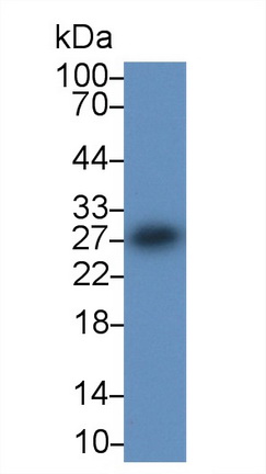 17643