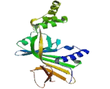 Pyridoxamine-5"-Phosphate Oxidase (PNPO)