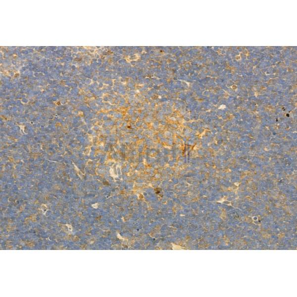 Валидация Affinity DF2565 - 13234