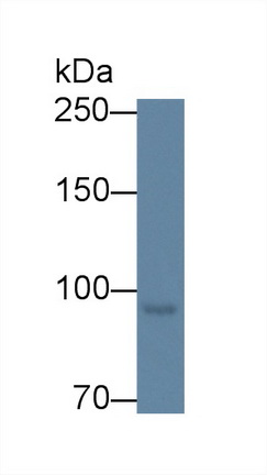 12782