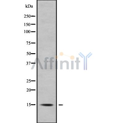 Валидация Affinity DF9216 - 21620