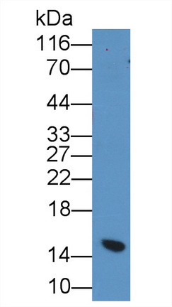 59947