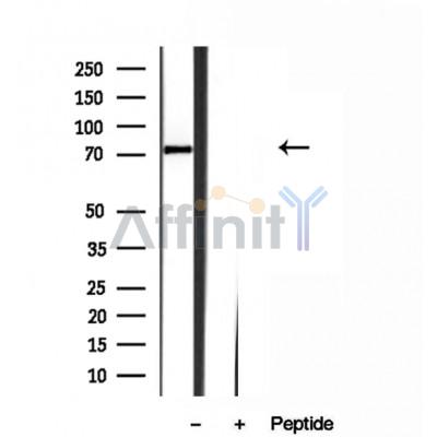 Валидация Affinity DF12078 - 6159
