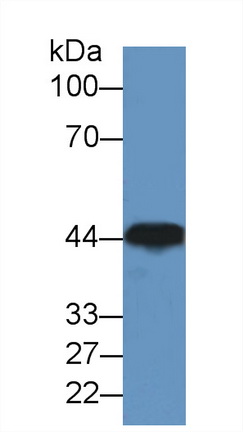 8356