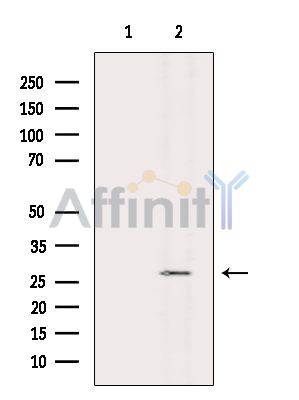 Валидация Affinity DF15873 - 12386