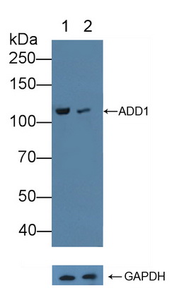 12197