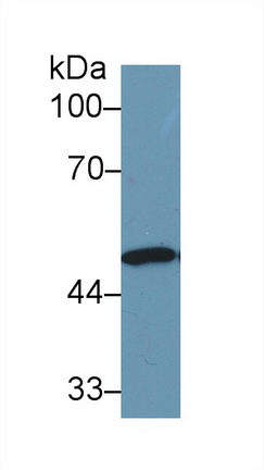 9418