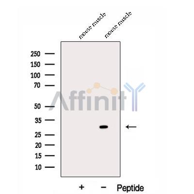Валидация Affinity DF12942 - 7700