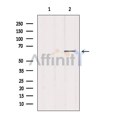 Валидация Affinity DF3057 - 13792