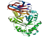 Glucosidase Beta, Acid (GbA)