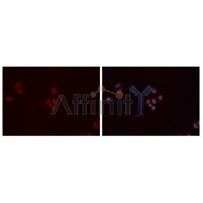 Валидация Affinity DF7100 - 18748