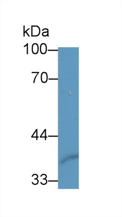 9073