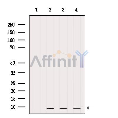 Валидация Affinity DF9286 - 21734