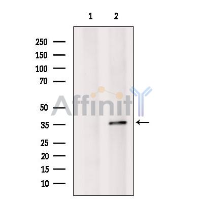 Валидация Affinity DF10285 - 5894