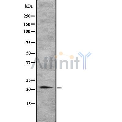 Валидация Affinity DF8751 - 20765