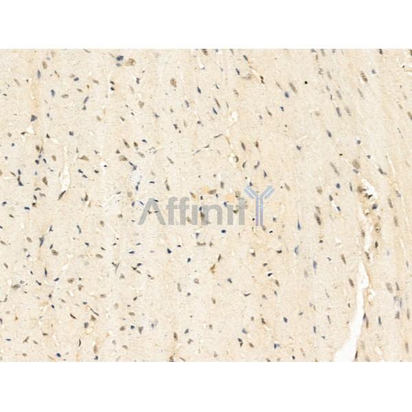 Валидация Affinity DF13693 - 9291