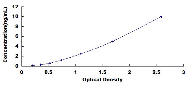 51560