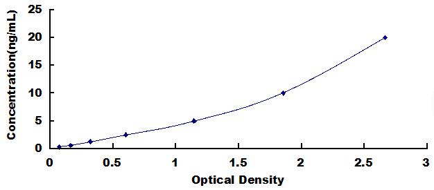 42039