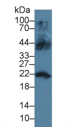 9393