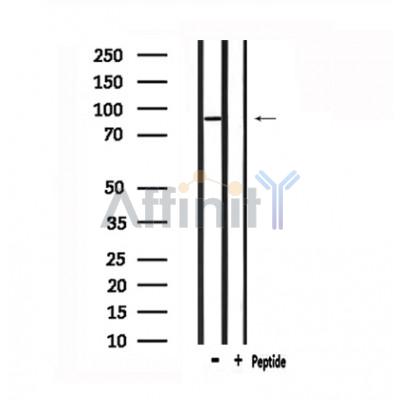 Валидация Affinity DF4947 - 16775