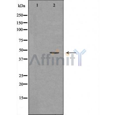 Валидация Affinity AF5220 - 2687