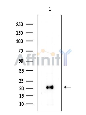 Валидация Affinity DF15903 - 12415