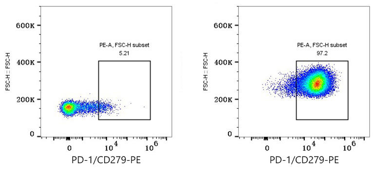 A25730, проточная цитометрия, лимфоциты периферической крови человека (20787)