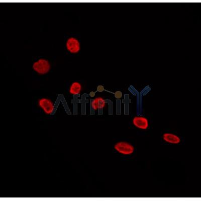 Валидация Affinity AF4100 - 2159