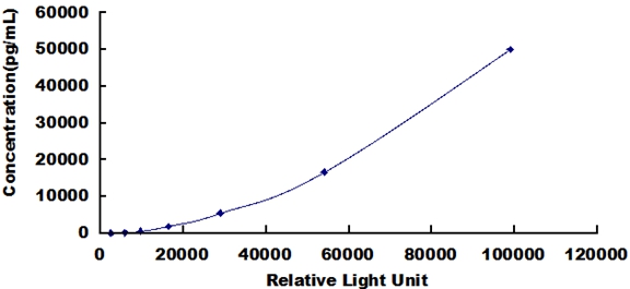 37905