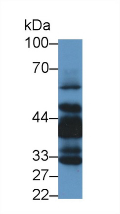 8820