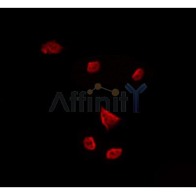 Валидация Affinity DF3155 - 13953