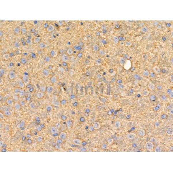 Валидация Affinity DF3146 - 13941